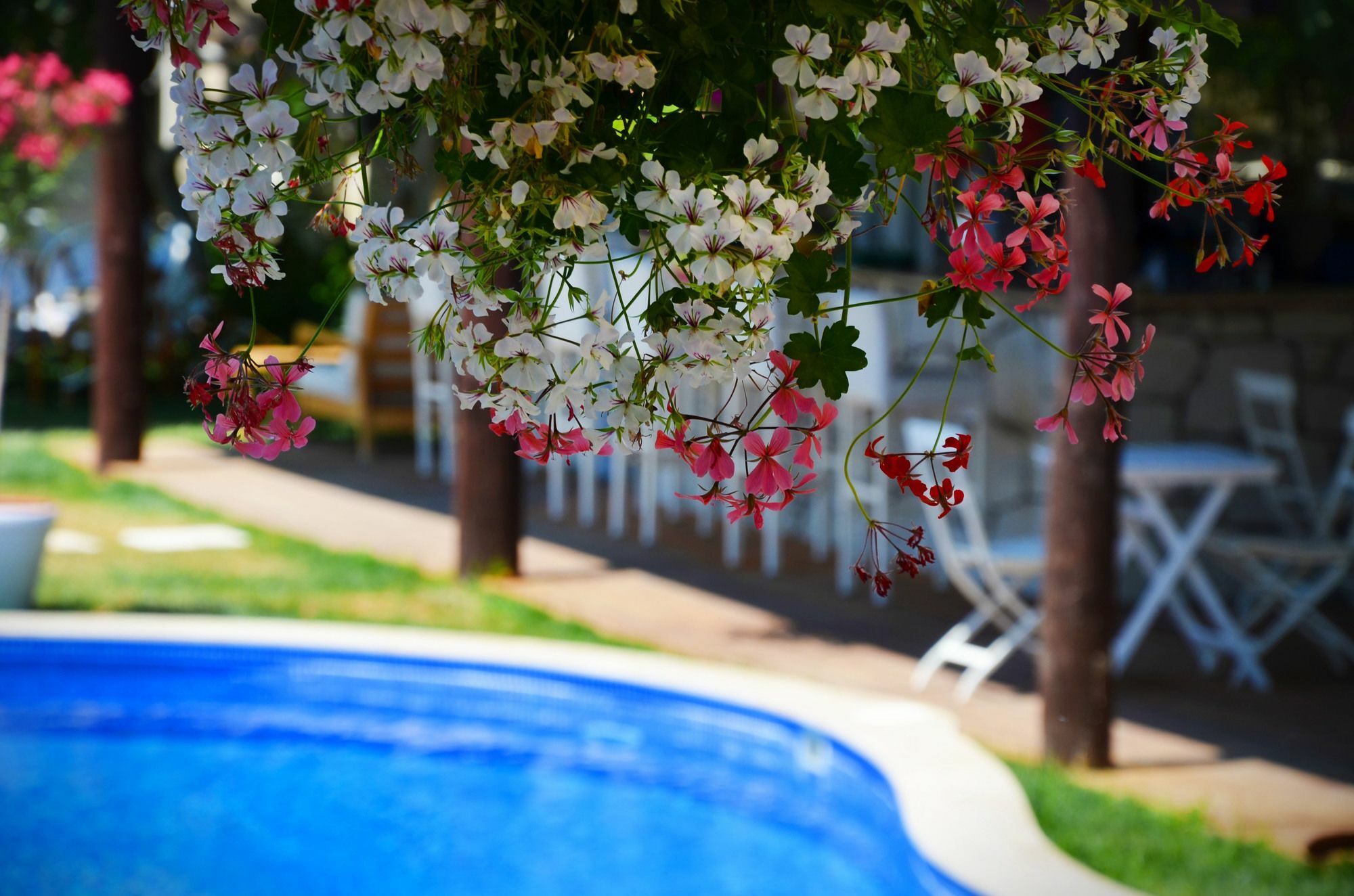 Tasquartas Hotel Alacatı Bagian luar foto