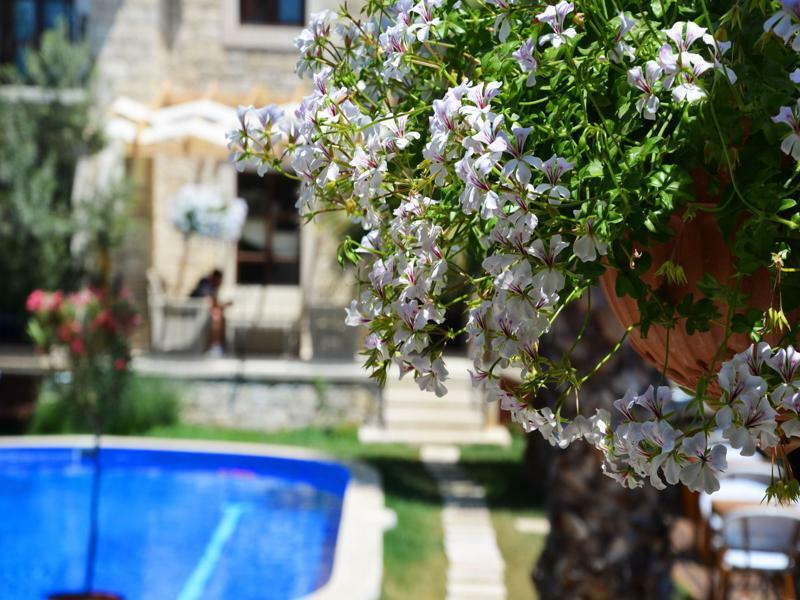 Tasquartas Hotel Alacatı Bagian luar foto